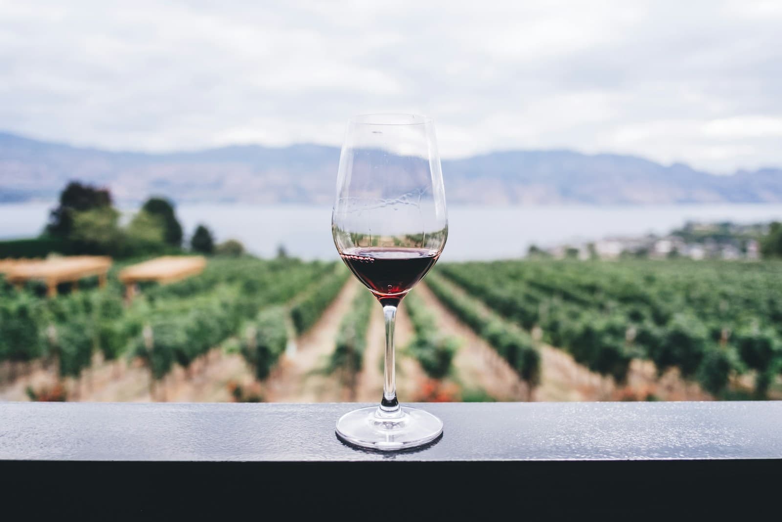 Bouteille et verres de vin sur une table en bois, vignes au coucher du soleil